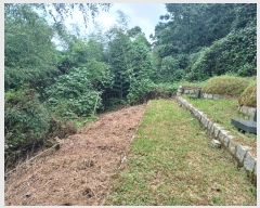  2023Ÿ36468 泲 ر ̵  985-9      (1)