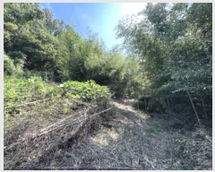  2023Ÿ36468 泲 ر ̵  985-9      (1)