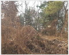  2023Ÿ��39139  �����