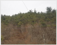  2023Ÿ��39139  �����