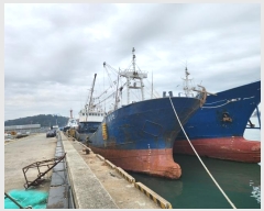  2023Ÿ��38761 (����) ��õ�� ��󳲵� ��õ��       ���ڰ��