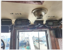  2023Ÿ��38761 (����) ��õ�� ��󳲵� ��õ��       ���ڰ��