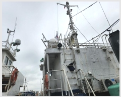  2023Ÿ��38761 (����) ��õ�� ��󳲵� ��õ��       ���ڰ��