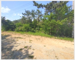  2023Ÿ��1465 �泲 ������ ���� �� ��54-8      ����(�Ӿ�)���