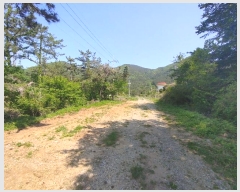  2023Ÿ��1465 �泲 ������ ���� �� ��54-8      ����(�Ӿ�)���