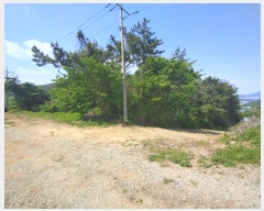  2023Ÿ��1465 �泲 ������ ���� �� ��54-8      ����(�Ӿ�)���