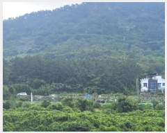  2023Ÿ��1465 �泲 ������ ���� �� ��54-8      ����(�Ӿ�)���