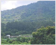  2023Ÿ��1465 �泲 ������ ���� �� ��54-8      ����(�Ӿ�)���