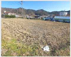  2023Ÿ30395 泲   Ҹ 782      ()