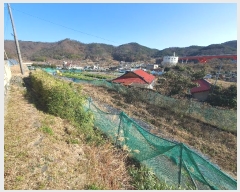  2023Ÿ30395 泲   Ҹ 782      ()