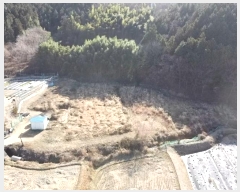  2023Ÿ30395 泲   Ҹ 782      ()