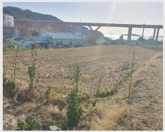  2023Ÿ30395 泲   Ҹ 782      ()