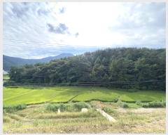  2023Ÿ4235 泲 뿵  Ȳ 397-1      (Ӿ)