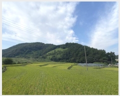  2023Ÿ4235 泲 뿵  Ȳ 397-1      (Ӿ)