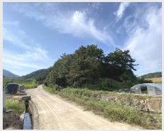  2023Ÿ4235 泲 뿵  Ȳ 397-1      (Ӿ)