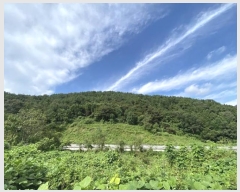  2023Ÿ4235 泲 뿵  Ȳ 397-1      (Ӿ)