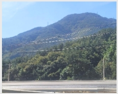  2023Ÿ4235 泲 뿵  Ȳ 397-1      (Ӿ)