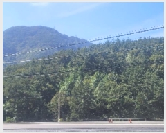  2023Ÿ4235 泲 뿵  Ȳ 397-1      (Ӿ)