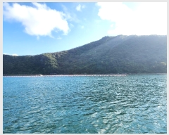  2023Ÿ��27559  ����ǰ��