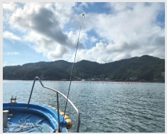  2023Ÿ��27559  ����ǰ��