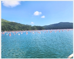  2023Ÿ��27559  ����ǰ��