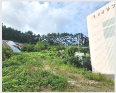  2023Ÿ��27795 �泲 �뿵�� �̼��� 598-2       ����(�Ӿ�)���