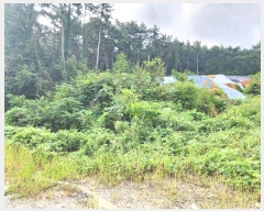  2023Ÿ��27795 �泲 �뿵�� �̼��� 598-2       ����(�Ӿ�)���