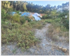  2023Ÿ��27795 �泲 �뿵�� �̼��� 598-2       ����(�Ӿ�)���