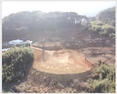  2023Ÿ��30647 �泲 ������ ���θ� �е��� 396      ����(��1)���