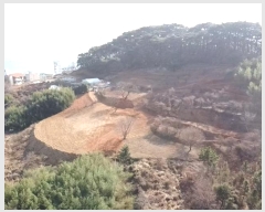  2023Ÿ��30647 �泲 ������ ���θ� �е��� 396      ����(��1)���