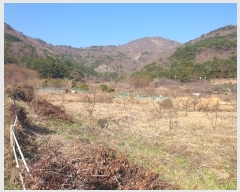  2023Ÿ��30647 �泲 ������ ���θ� �е��� 396      ����(��1)���