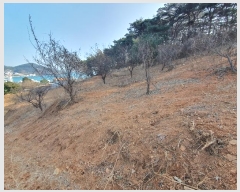  2023Ÿ��30647 �泲 ������ ���θ� �е��� 396      ����(��1)���