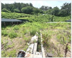  2023Ÿ2307 泲 뿵 緮  171      