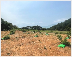  2023Ÿ��24314  �����