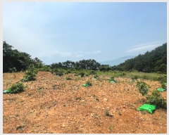  2023Ÿ��24314  �����