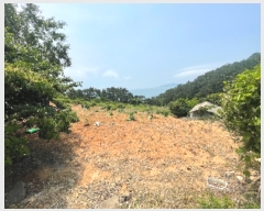  2023Ÿ��24314  �����