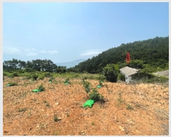  2023Ÿ��24314  �����