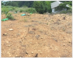  2023Ÿ��24314  �����