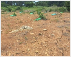  2023Ÿ��24314  �����