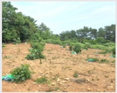  2023Ÿ��24314  �����