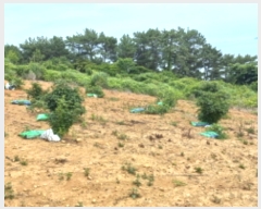  2023Ÿ��24314  �����