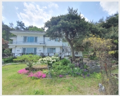  2023Ÿ��1335  ���ð��