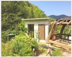  2023Ÿ��1335  ���ð��