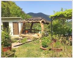  2023Ÿ��1335  ���ð��