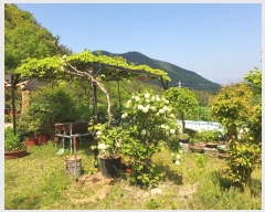  2023Ÿ��1335  ���ð��