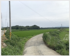  2023Ÿ3126 泲  ŷ Ż긮 35      ()