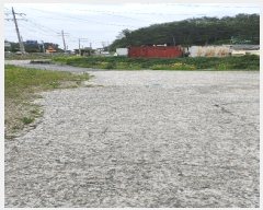  2023Ÿ22790 泲 뿵 ѻ ȣ 735      (1)