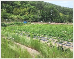  2023Ÿ22790 泲 뿵 ѻ ȣ 735      (1)