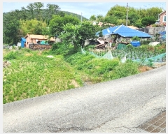  2023Ÿ22790 泲 뿵 ѻ ȣ 735      (1)