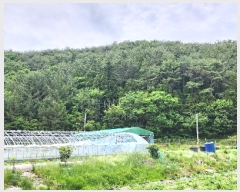  2023Ÿ22790 泲 뿵 ѻ ȣ 735      (1)